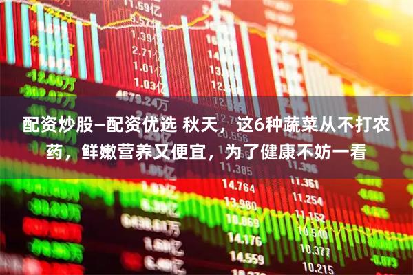 配资炒股—配资优选 秋天，这6种蔬菜从不打农药，鲜嫩营养又便宜，为了健康不妨一看