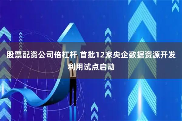 股票配资公司倍杠杆 首批12家央企数据资源开发利用试点启动