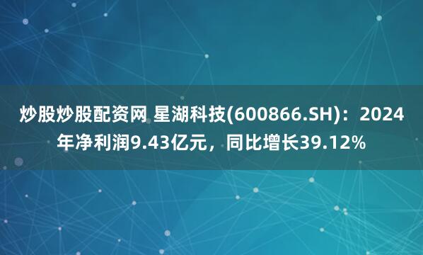 炒股炒股配资网 星湖科技(600866.SH)：2024年净利润9.43亿元，同比增长39.12%