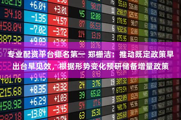 专业配资平台排名第一 郑栅洁：推动既定政策早出台早见效，根据形势变化预研储备增量政策
