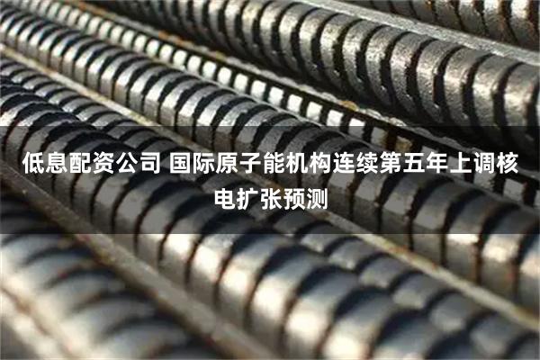 低息配资公司 国际原子能机构连续第五年上调核电扩张预测