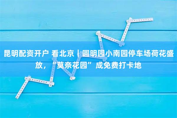 昆明配资开户 看北京｜圆明园小南园停车场荷花盛放，“莫奈花园” 成免费打卡地
