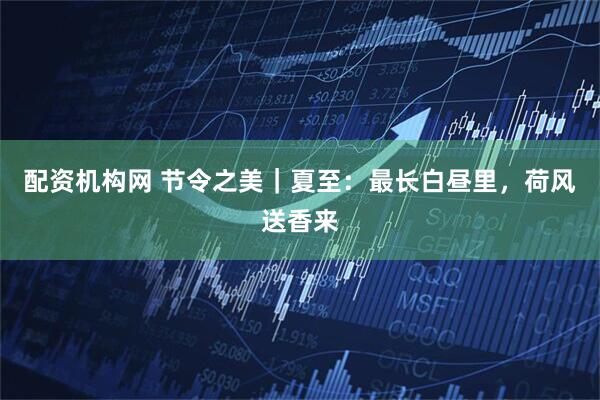 配资机构网 节令之美｜夏至：最长白昼里，荷风送香来